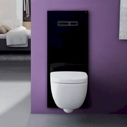 Obudowa szklana dolna do stelaży TECElux 9650106 czarny