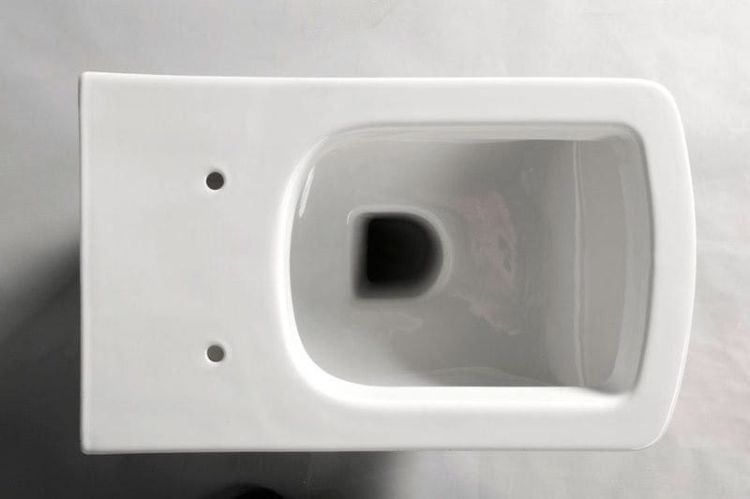 PURITY WC wiszące 35x55,5cm (10PL02001)