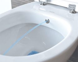 dysza bidet w misce WC