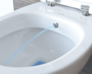 dysza bidet w misce WC
