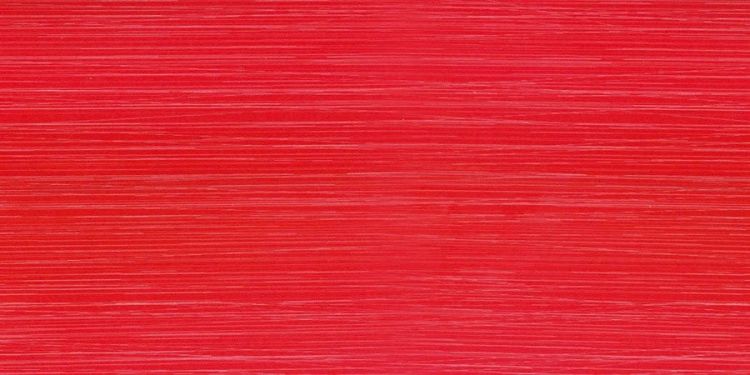 FASHION Rojo 20x40 (kart. = 1,2m2)