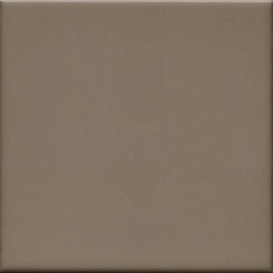 UNICOLOR 20 Oliva mate 20x20 (1bal=1m2)