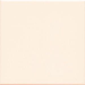UNICOLOR 20 Hueso brillo 20x20 (1bal=1m2)