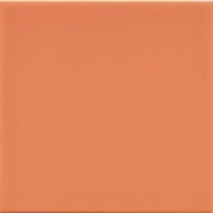 UNICOLOR 20 Siena brillo 20x20 (1bal=1m2)