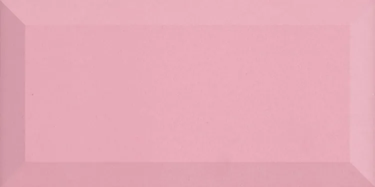 BISELADO BX ROSA PALO 10x20 (1bal=1m2)