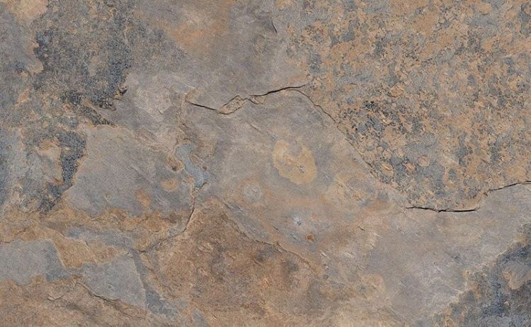 ARDESIA Gris 40,8x66,2 (kart. = 1,08m2)