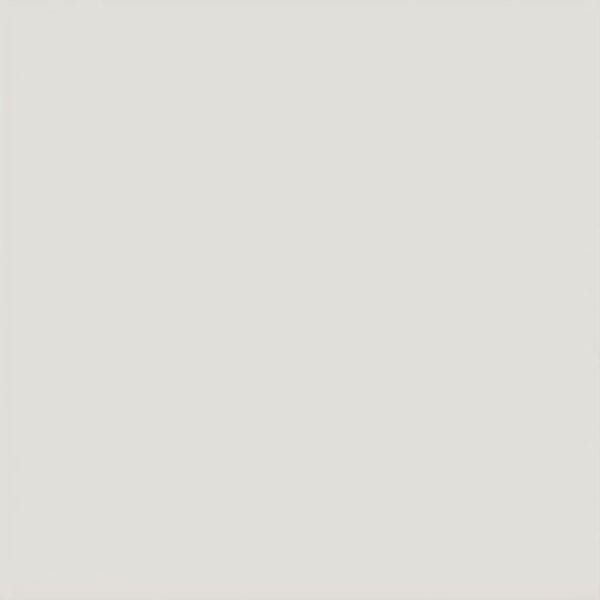 EVOLUTION Gris Claro Brillo 15X15 (EQ-0) (1bal=1m2)