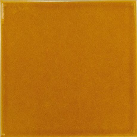 Przejdź do produktu EVOLUTION Amber 15X15 (EQ-6) (1m2)