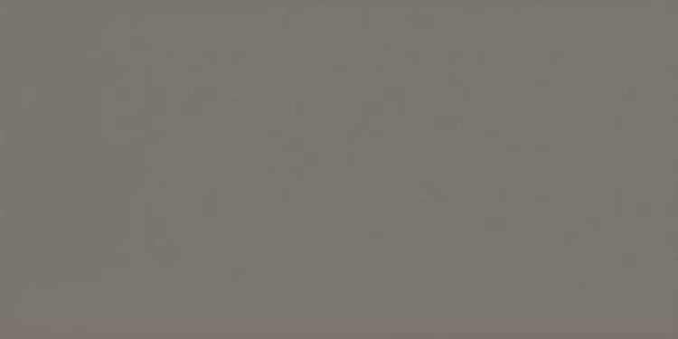 EVOLUTION Gris Oscuro Brillo 7,5x15 (EQ-0) (1bal=0,5m2)