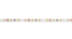 LED taśma 7,2W/m, 600lm, samoprzylepna, dzienny biały