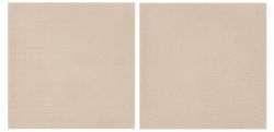 CONCRETE Bone 20X20 (1bal=1m2)