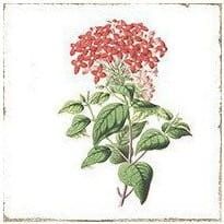Przejdź do produktu FORLI płytki ścienne Flowers Decor Mix 15x15