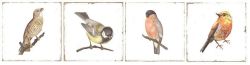 FORLI Birds Decor Mix 20X20