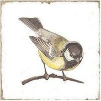 Przejdź do produktu FORLI płytki ścienne Birds Decor Mix 15x15