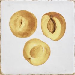 Forli Fruits Decor Mix 20x20