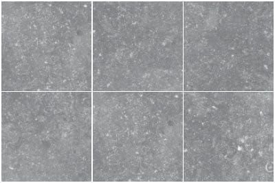 Przejdź do produktu CORALSTONE płytki podłogowe Grey 20x20 (EQ-3) (1m2)