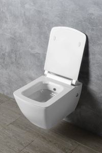 PURITY deska WC Soft Close, duroplast, biała (40S30200E)