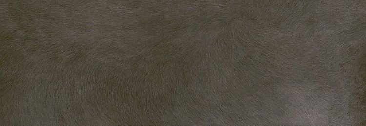 ZOO Marrón 20x60