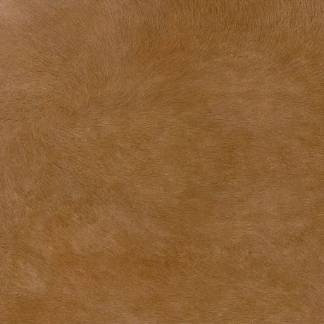 Przejdź do produktu ZOO Safari Marrón 45x45