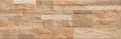 AFRICA Terra 20x60