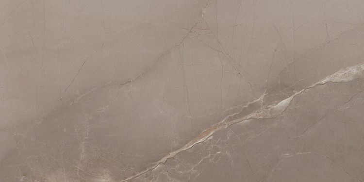 PASSION LUX 90 Taupe 45x90 (bal=1,21m2)