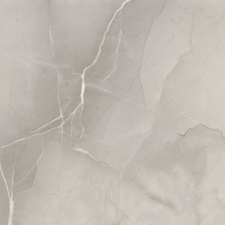 Przejdź do produktu PASSION LUX 60 płytki podłogowe Grey 60x60 (1,08m2)
