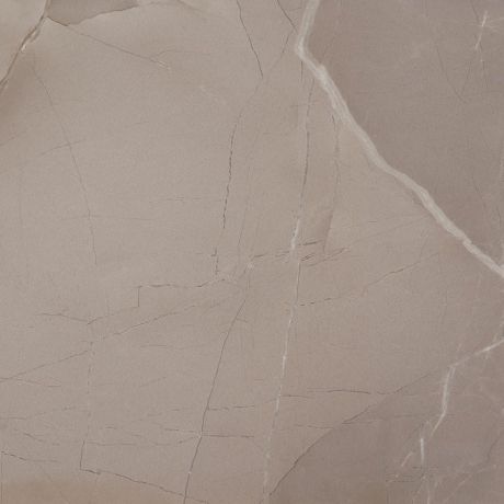 Przejdź do produktu PASSION LUX 60 płytki podłogowe Taupe 60x60 (1,08m2)