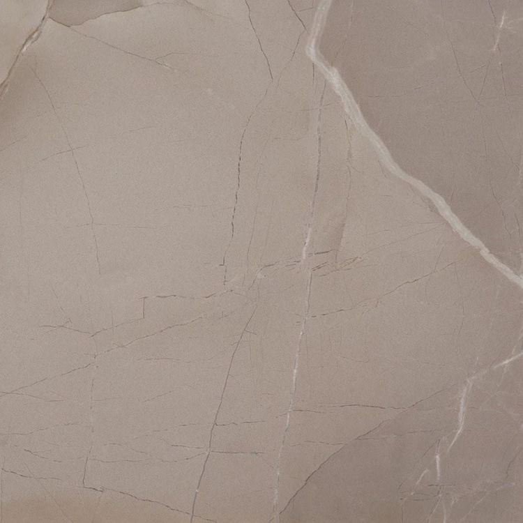 PASSION LUX 60 Taupe 60x60 (bal=1,08m2)