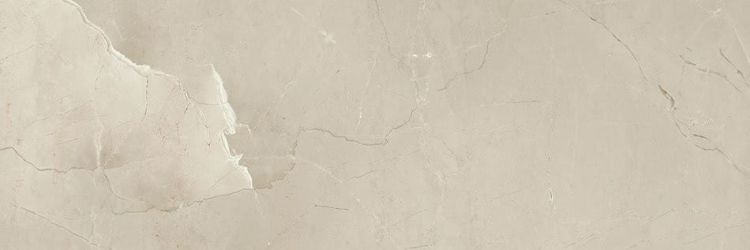 PASSION R90 Champagne 30x90 (bal=1,08m2)
