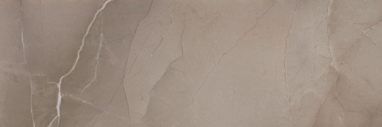 PASSION R90 Taupe 30x90 (bal=1,08m2)