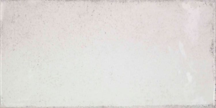 VITA Bianco 10x20 (bal=1m2)