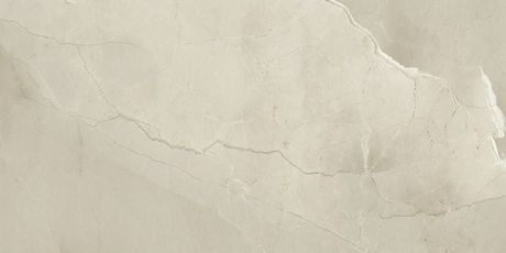 Przejdź do produktu PASSION Lux Champagne 30x60 (1,08m2)