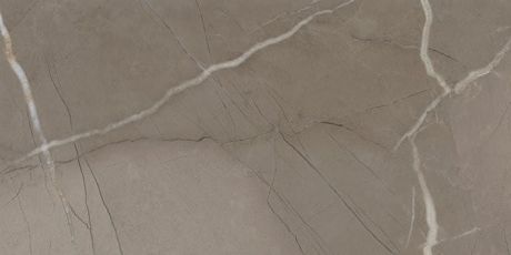 Przejdź do produktu PASSION Lux Taupe 30x60 (1,08m2)
