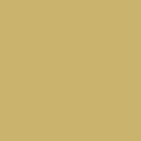 Przejdź do produktu BASIC płytki podłogowe Dandelion 25x25 (bal=1m2)