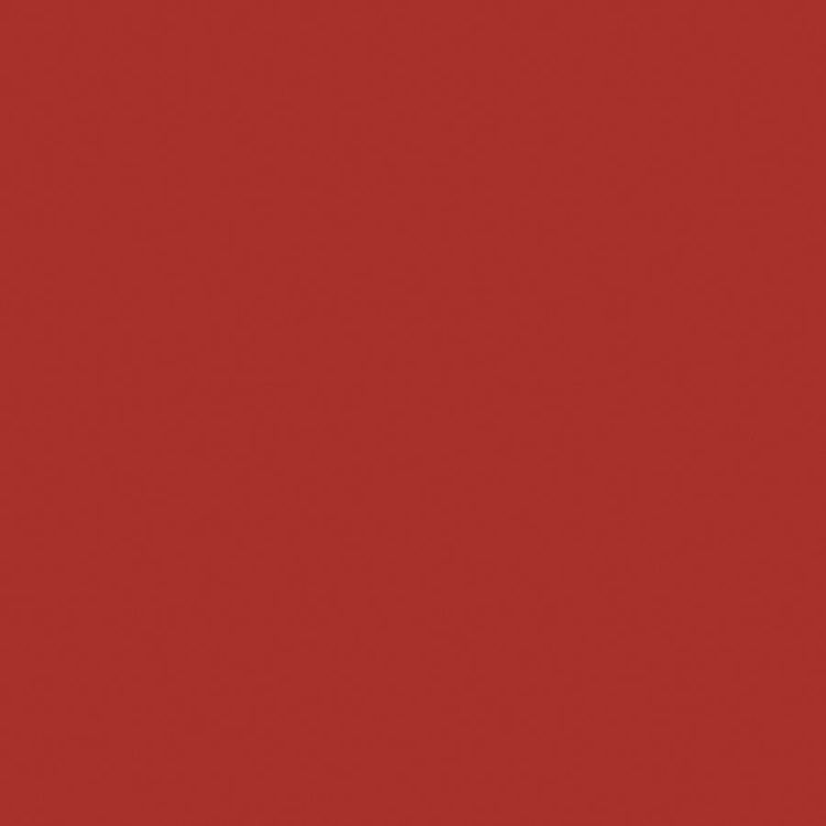 BASIC płytki podłogowe Red 25x25 (bal=1m2)