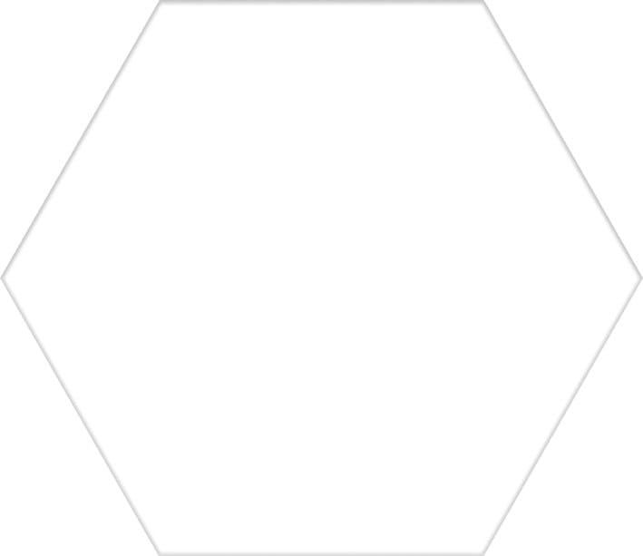 SOLID płytki podłogowe White Hex 22x25 (bal=1,04m2)
