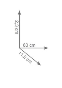 półka 60 cm rys.tech.Gedy Glamour