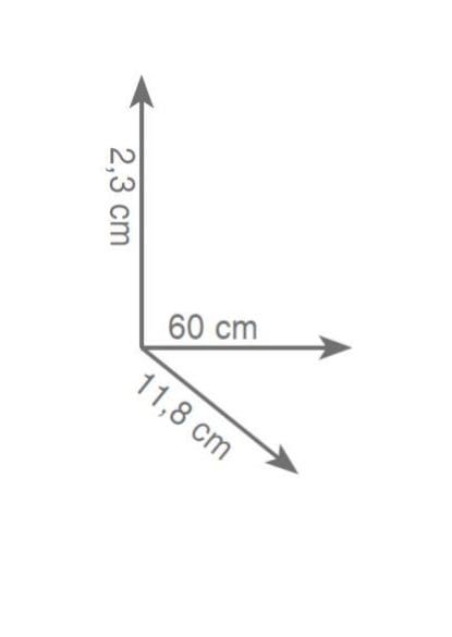 półka 60 cm rys.tech.Gedy Glamour