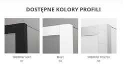 Dostępne kolory profili