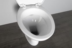 Kompakt WC ze spłuczką oraz mechanizmem spłukującym, tylny odpływ