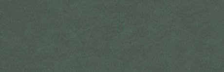 Przejdź do produktu COLORLINE płytki ścienne Verde 31,5x100 (1,26m2)