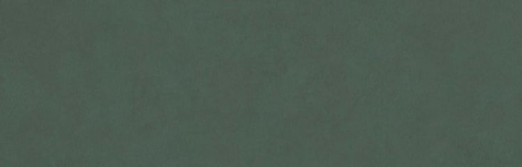 COLORLINE płytki ścienne Verde 31,5x100 (bal=1,26m2)