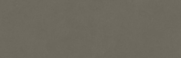 COLORLINE płytki ścienne Topo 31,5x100 (bal=1,26m2)