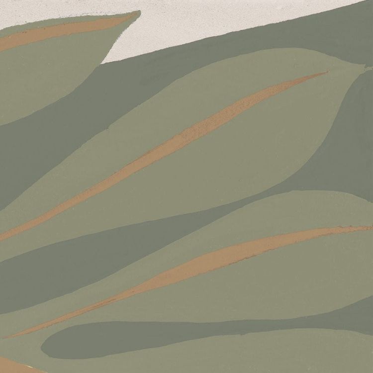 HABANA płytki podłogowe Natural 16,5x16,5 (bal=0,55m2)