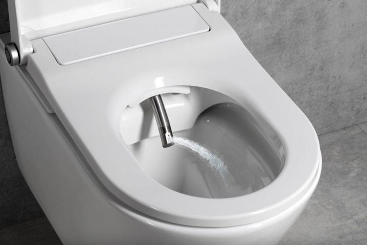 wc z funkcją mycia Veen Clean dysza bidetowa.JPG