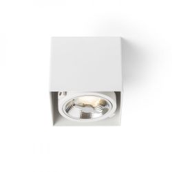 JAMES I DIMM sufitowa biała matowa   230V LED 15W 24°  3000K
