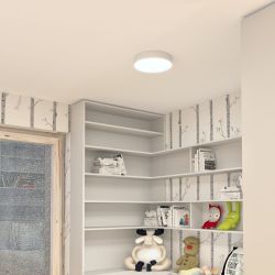 LARISA R 30 sufitowa biała  230V LED 30W  3000K