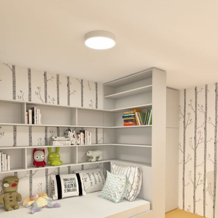 LARISA R 30 sufitowa biała  230V LED 30W  3000K