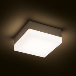 SPECTACLE natynkowa srebrno-szara  230V LED 5W IP54  3000K