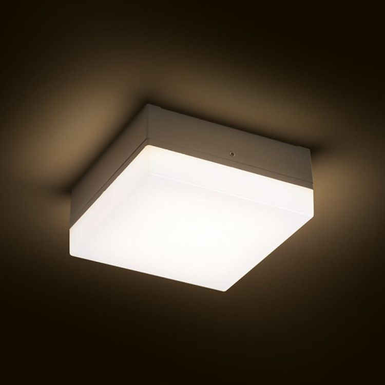 SPECTACLE natynkowa srebrno-szara  230V LED 5W IP54  3000K